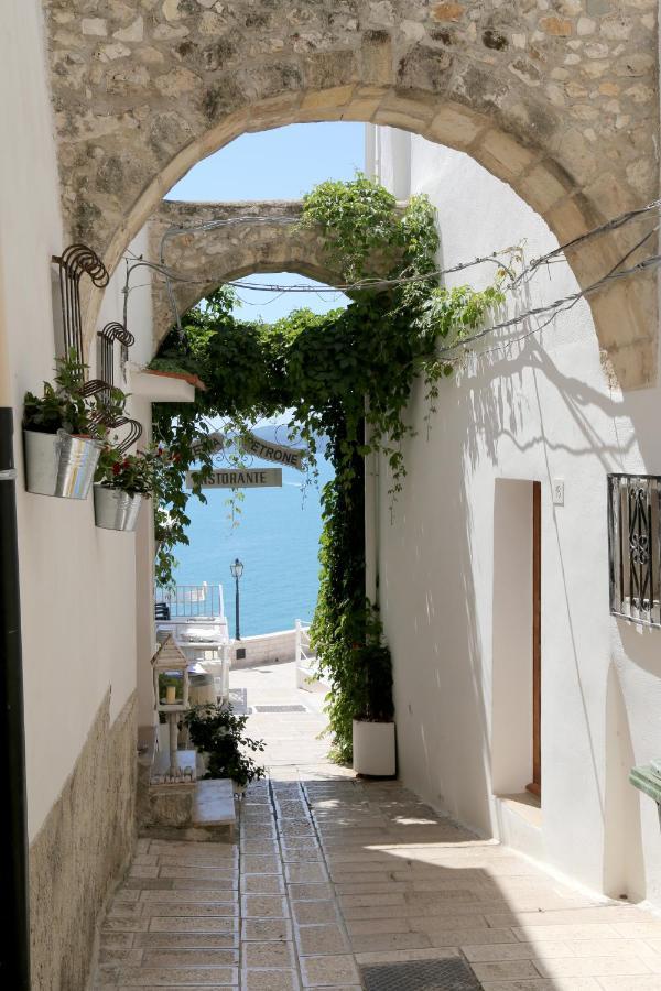 Piazzetta Petrone Apartments + Parking ヴィエステ エクステリア 写真